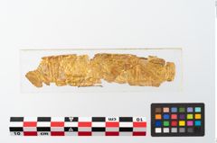 Foto von Goldschwertknaufbesatzfolien (NHMW-PRAE-025451)